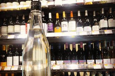 仙禽かぶとむし　2021