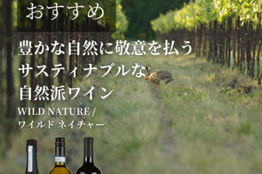 ＼ピックアップワイナリー／1月はイタリアのオーガニックワインを特集！